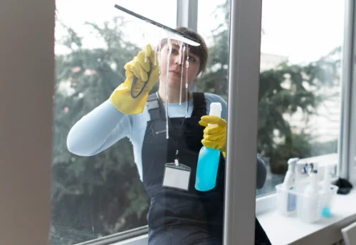 Nettoyage de vitres intérieures et extérieures à Bruailles